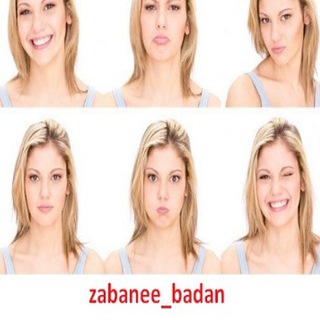 Логотип zabanee_badan