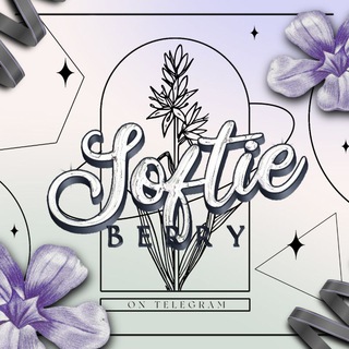 Логотип канала softierrystore