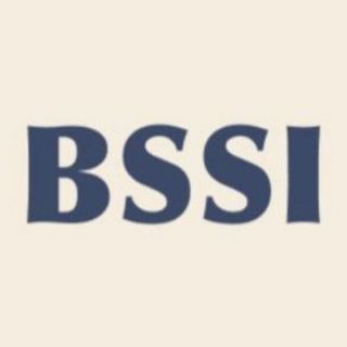 Логотип blackseastrategyinstitute