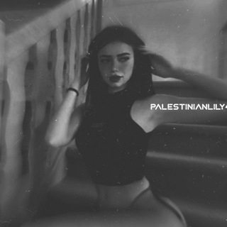 Логотип канала palestinianlily45