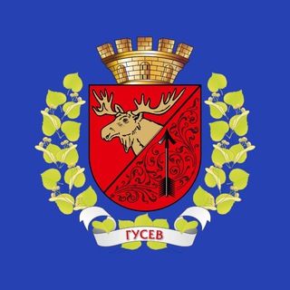 Логотип admgusev