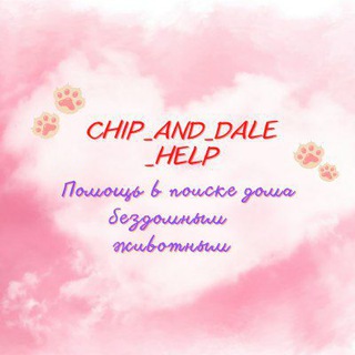 Логотип канала chip_and_dale_help