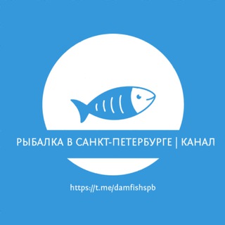 Логотип канала damfishspb