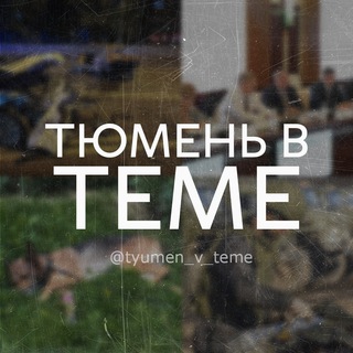 Логотип канала tyumen_v_teme