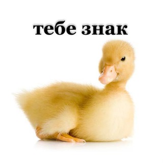 Логотип канала tebe_zznak