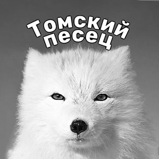 Логотип канала pesets_tomsk