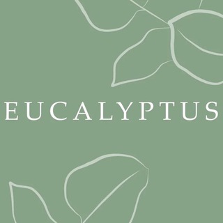 Логотип канала eucalyptus_store