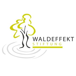 Логотип waldeffekt