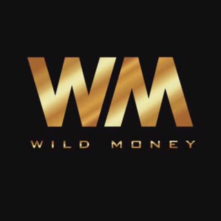 Логотип канала wildmoneypro