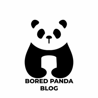 Логотип канала boredpandablog