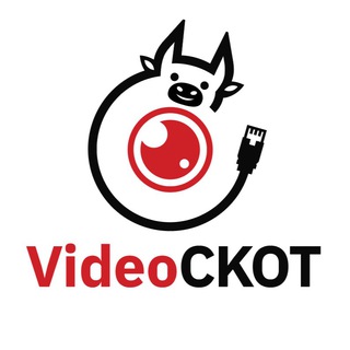 Логотип videockot