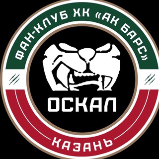 Логотип канала ak_bars_fans