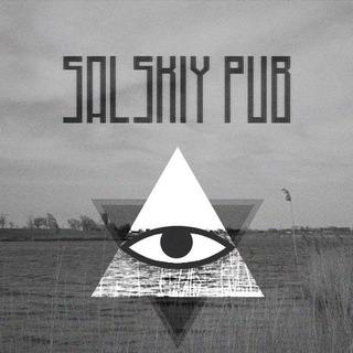 Логотип канала salskpub