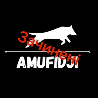 Логотип канала amufidji