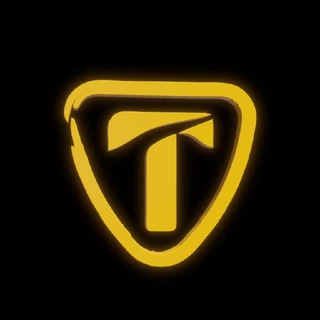 Логотип trustminegroup