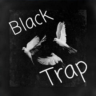 Логотип blacktrap1