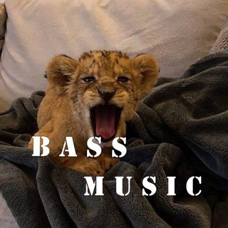 Логотип Bassmusicxitt