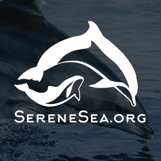 Логотип sereneseadolphins_channel