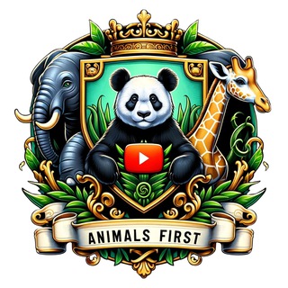 Логотип канала animals_first