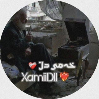 Логотип канала xamiidll