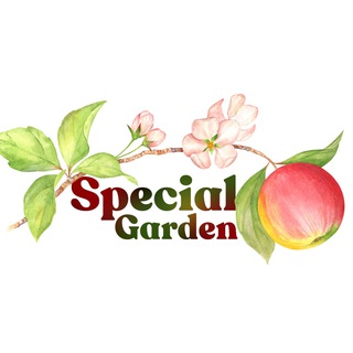 Логотип канала special_garden