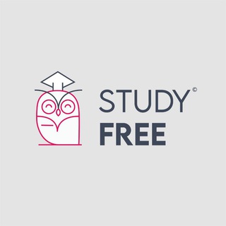 Логотип канала studyfree_consulting