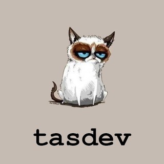 Логотип канала tasdev