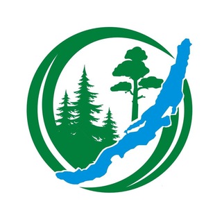 Логотип канала thunderjchat