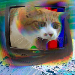 Логотип catacid2