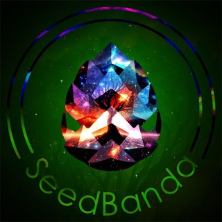 Логотип канала seedbanda420