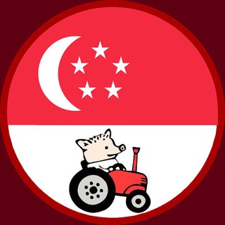 Логотип singapore_chat