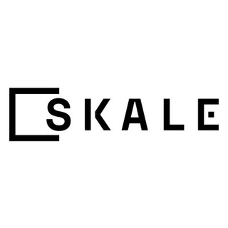 Логотип канала skalefoundation