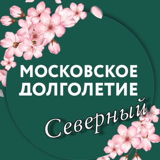 Логотип канала cmdseverniy