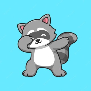 Логотип канала raccoon_crypto