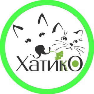 Логотип канала hachiko_bir