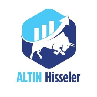 Логотип altinhisseler