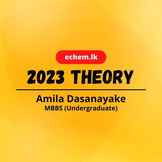 Логотип echem2023