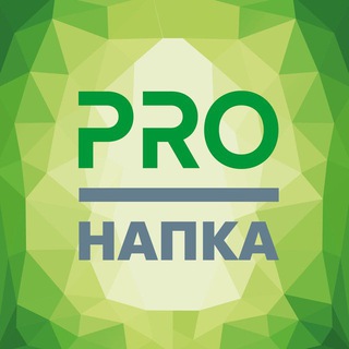 Логотип канала pro_napca