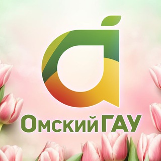 Логотип канала omskiygau