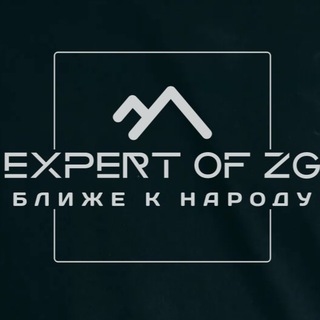 Логотип канала expert_of_zg