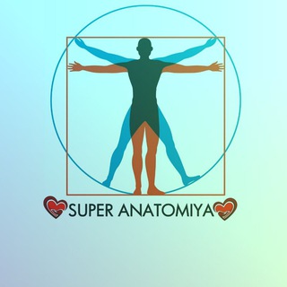 Логотип канала super_anatomiya