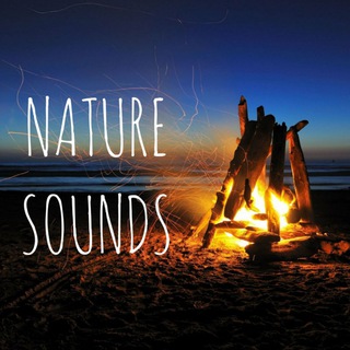 Логотип канала sounds_nature