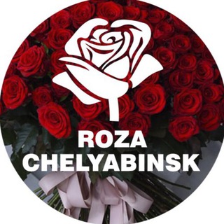 Логотип канала rozachelyabinsk174