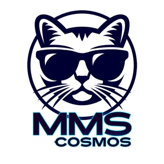 Логотип канала cosmoexplorer_mms