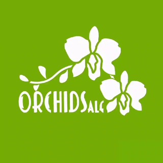 Логотип канала orchidsale