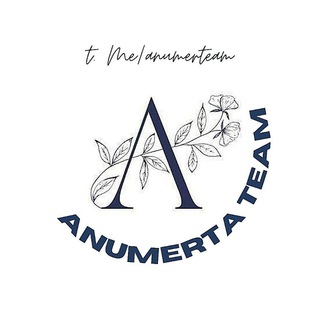 Логотип канала anumerteam