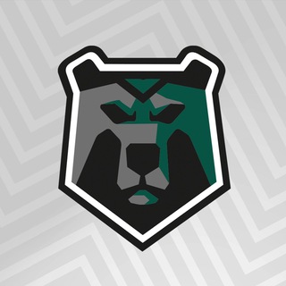 Логотип blackbears_football