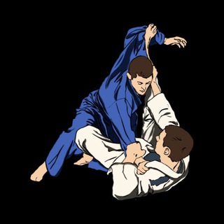 Логотип канала bjjtechniques