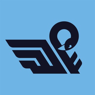 Логотип канала swaneconomy