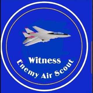 Логотип канала witnessenemyairscout